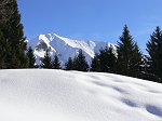 35-il cielo penetra la terra che fonde nel cielo